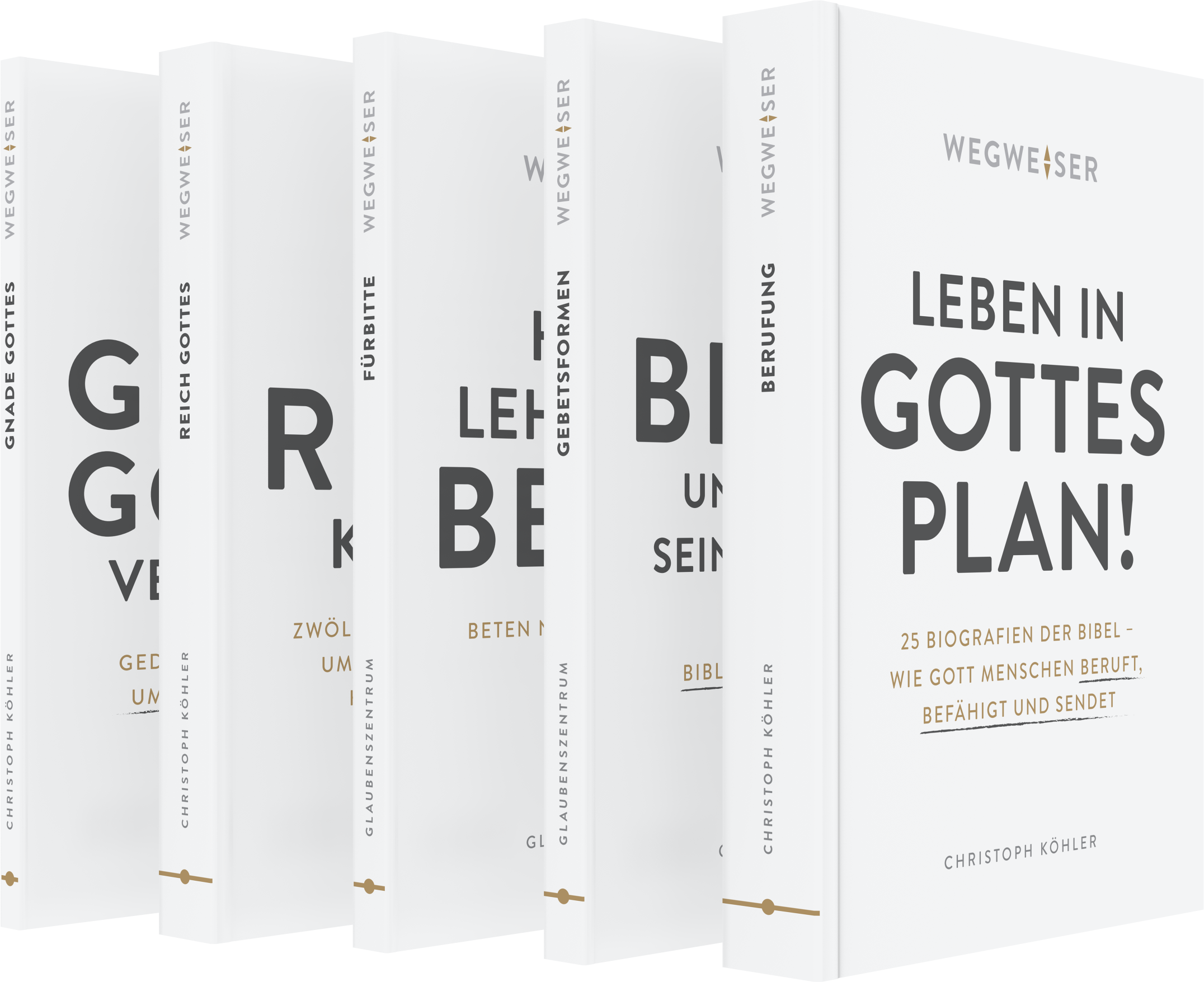 Wegweiserreihe - 5 Bücher